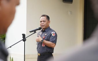 Rinaldi Aulia